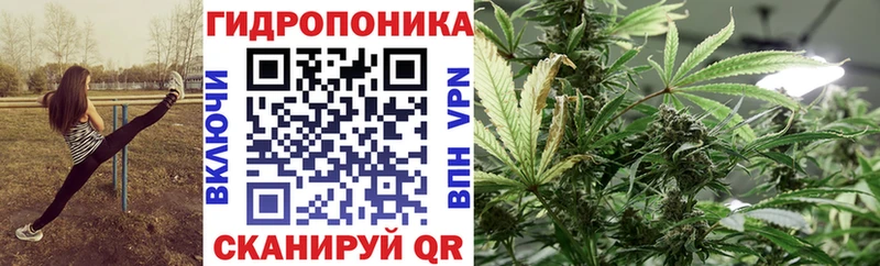 Что такое Искитим Метадон  мега   Кокаин  A PVP  МЕФ 