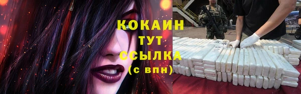 прущая мука Инсар